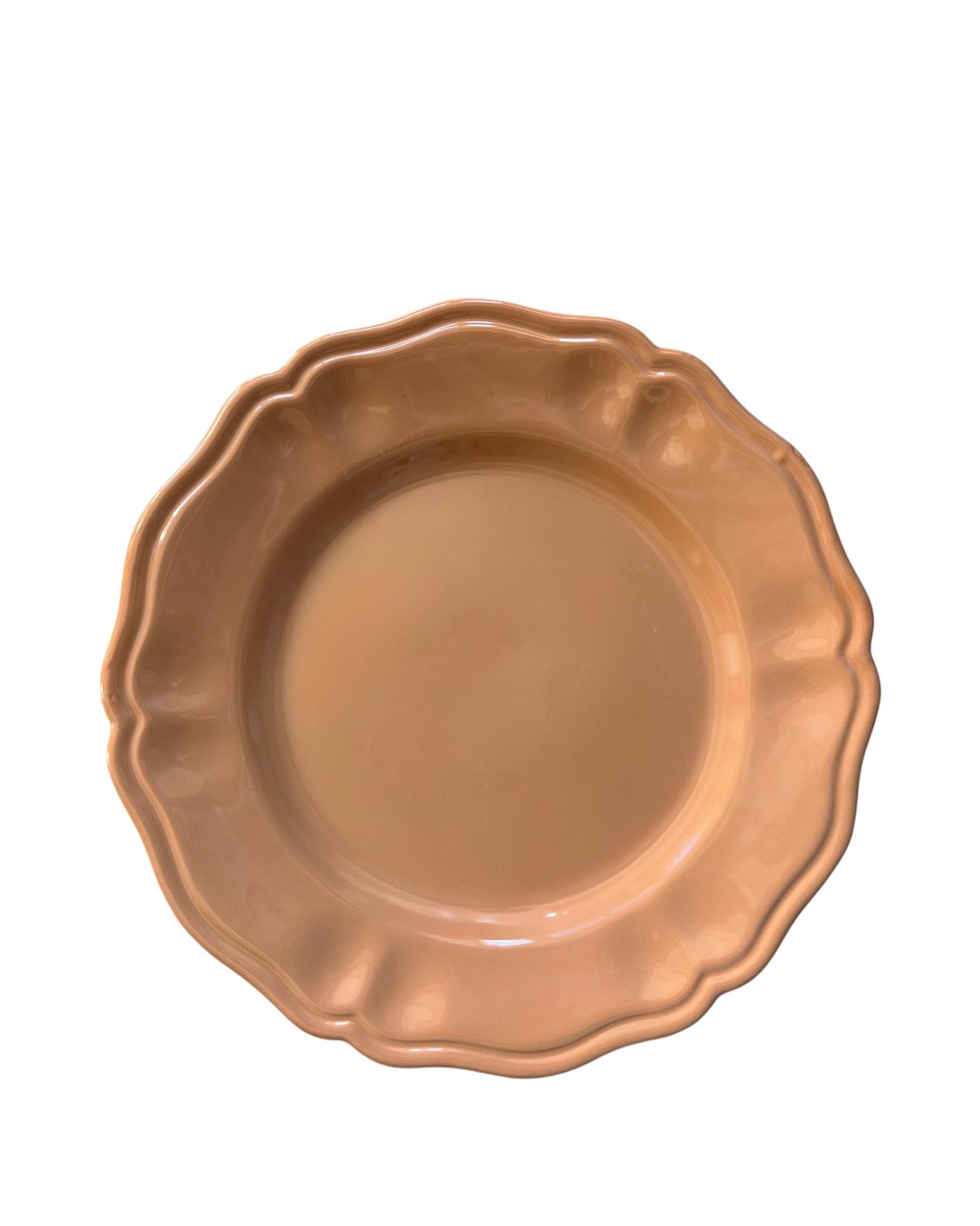 The Terracotta SIM Dinner Plate