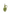 The Olive Oil Bottle
