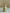 The Bud Vases set of 8