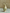 The Bud Vases set of 8