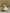 The Bud Vases set of 8