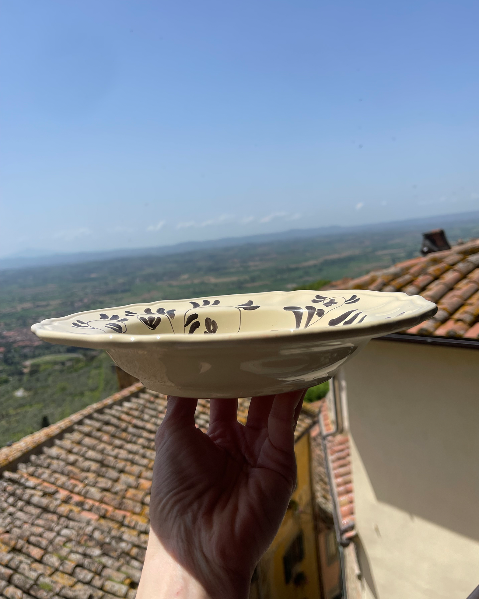 The Manganese Sim Soup Plate