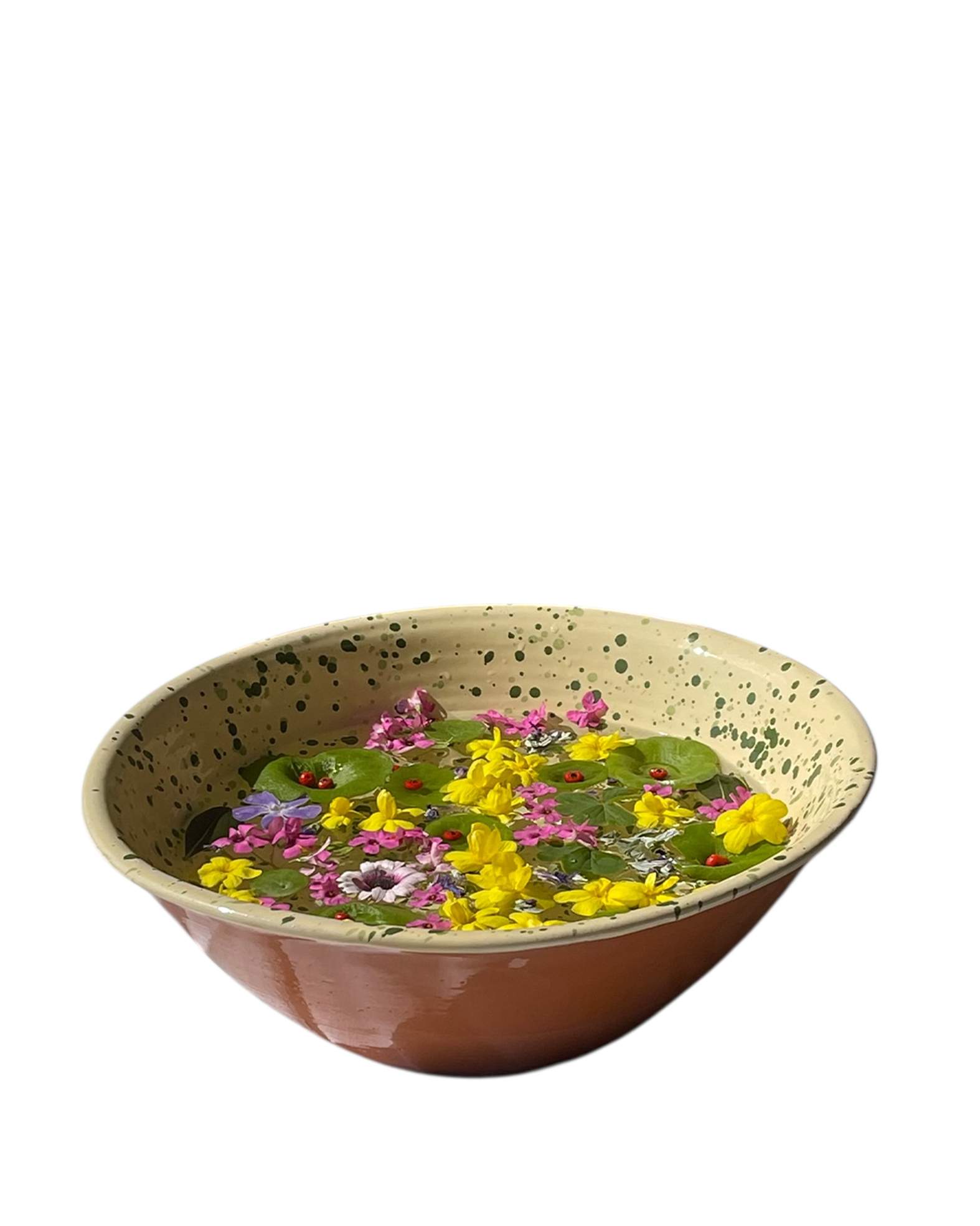 The Catinella Ivo Angel Store