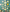 Promotion banner